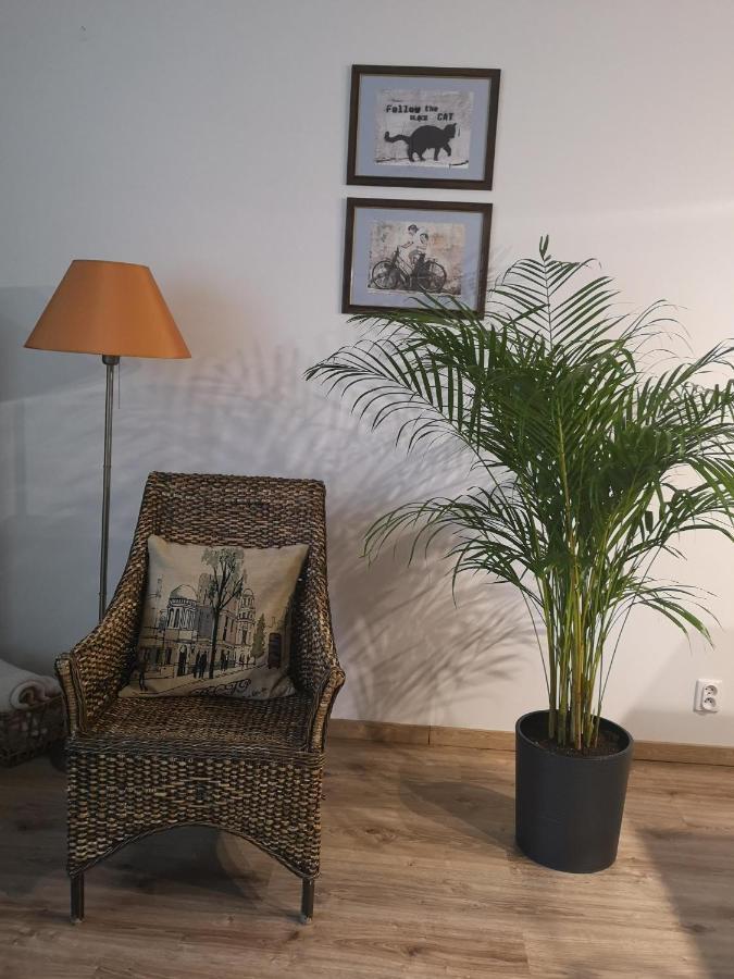Villa Garden Paryski Olsztyn  Extérieur photo