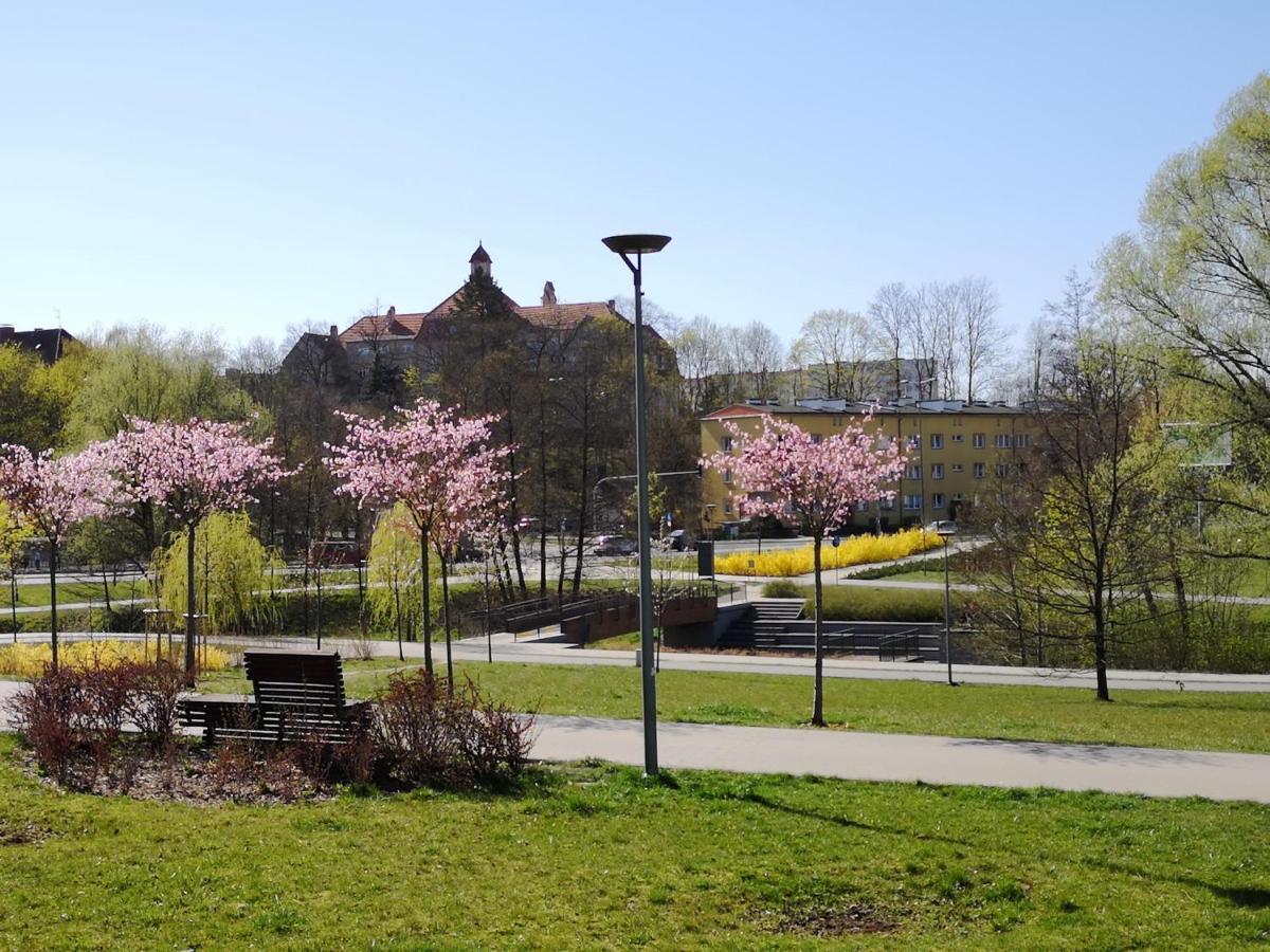 Villa Garden Paryski Olsztyn  Extérieur photo